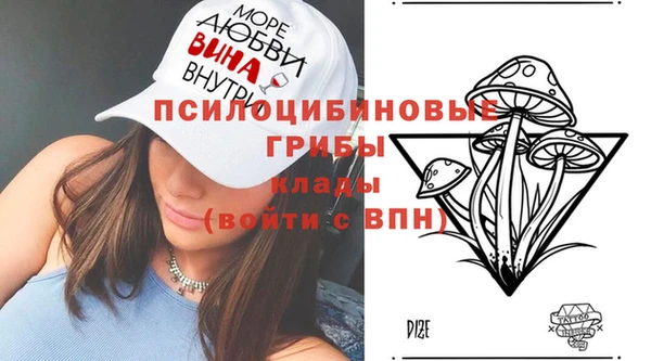 гидропоника Алексин